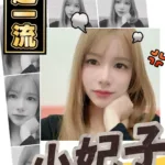 台南定點茶-小妃子
