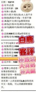 台中定點茶-白鹿