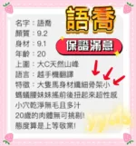 桃園定點茶-語喬