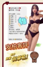 南投定點茶-安柏