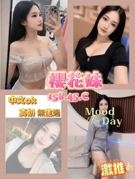 台南定點茶-櫻花妹