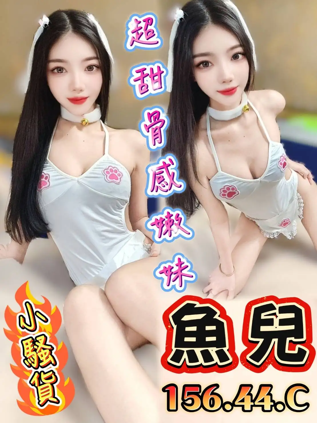 台中定點茶-魚兒 台中定點茶-魚兒