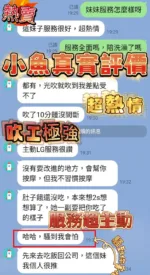 南投定點茶-小魚