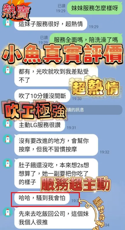 南投定點茶-小魚
