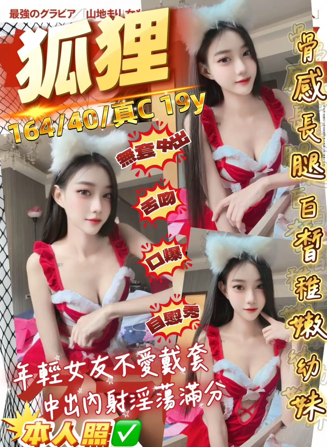 桃園定點茶-狐狸 桃園定點茶-狐狸
