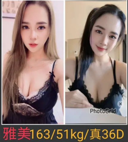 南投定點茶-雅美
