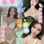 台中定點茶-嵐嵐